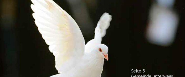 Gemeindebrief Juni 2017 / Juli 2017