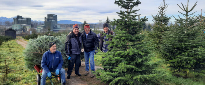 Weihnachtsbaumaktion 2024