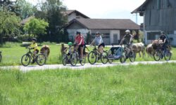 Eindrücke von der 1. Mai Radrundfahrt